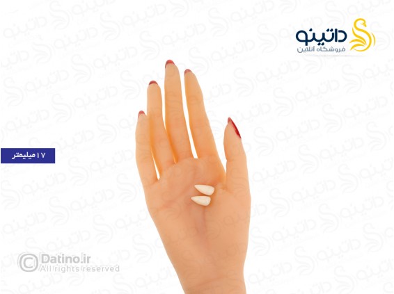 عکس دندان طرح خون آشام جفت 10497 - انواع مدل دندان طرح خون آشام جفت 10497