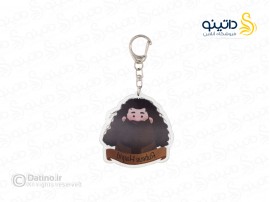 جاکلیدی شخصیت روبیوس هاگرید هری پاتر 14504