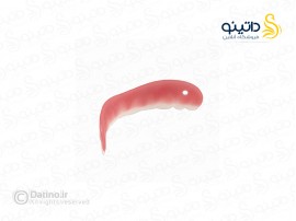 روکش دندان سفید ردیف بالا 14564