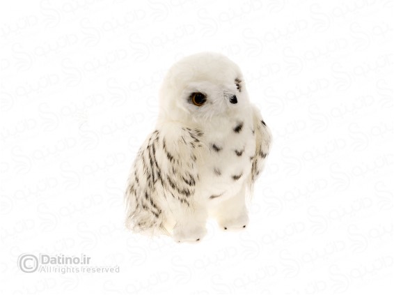 عکس عروسک پولیشی هدویگ جغد برفی نامه رسان جادوگر فیلم هری پاتر 19133 - انواع مدل عروسک پولیشی هدویگ جغد برفی نامه رسان جادوگر فیلم هری پاتر 19133