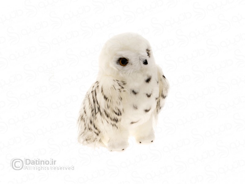 عکس عروسک پولیشی هدویگ جغد برفی نامه رسان جادوگر فیلم هری پاتر 19133 - انواع مدل عروسک پولیشی هدویگ جغد برفی نامه رسان جادوگر فیلم هری پاتر 19133