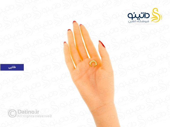 عکس پیرسینگ بینی فیک نگین دار 19203 - انواع مدل پیرسینگ بینی فیک نگین دار 19203