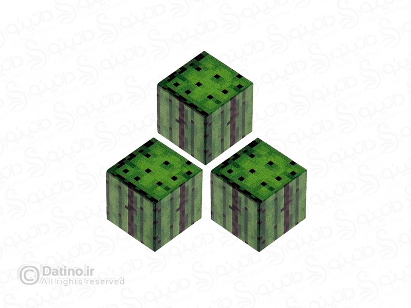 عکس بلوک مغناطیسی ماینکرافت طرح کاکتوس سه عددی 19631 - انواع مدل بلوک مغناطیسی ماینکرافت طرح کاکتوس سه عددی 19631