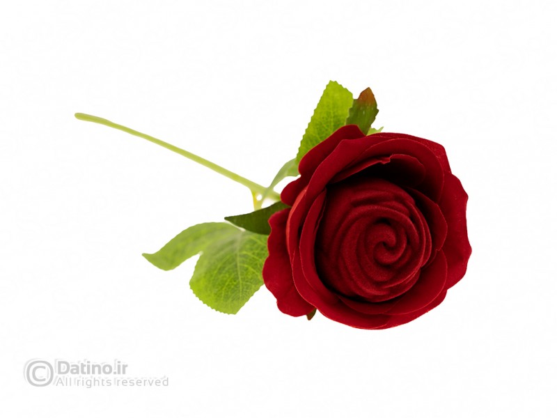 عکس جعبه انگشتر طرح شاخه گل رز 19650 - انواع مدل جعبه انگشتر طرح شاخه گل رز 19650