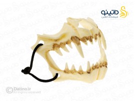 ماسک طرح جمجمه دندان ببر 20067