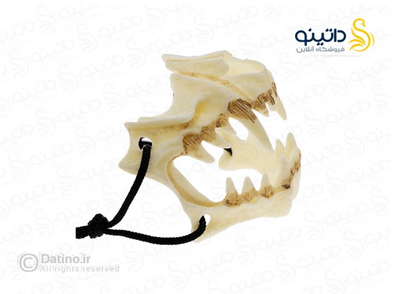 عکس ماسک طرح جمجمه دندان ببر 20067 - انواع مدل ماسک طرح جمجمه دندان ببر 20067