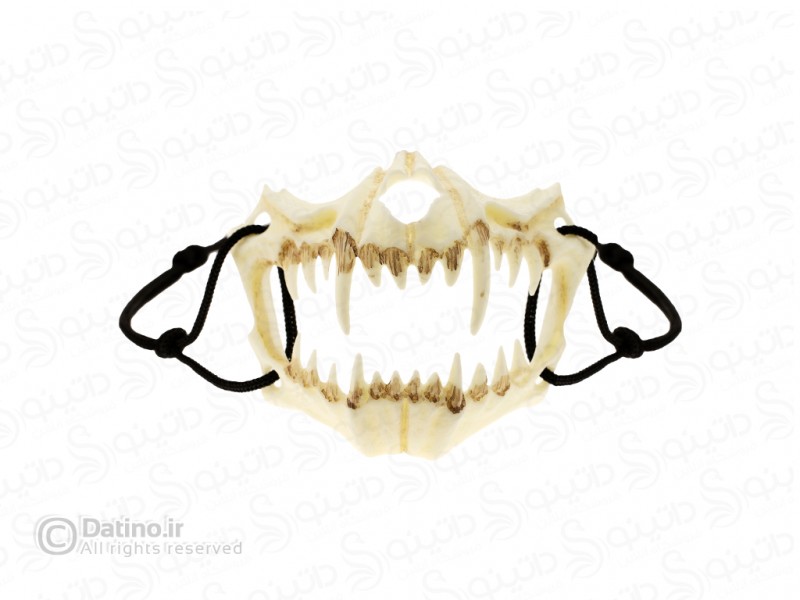 عکس ماسک طرح جمجمه دندان ببر 20067 - انواع مدل ماسک طرح جمجمه دندان ببر 20067