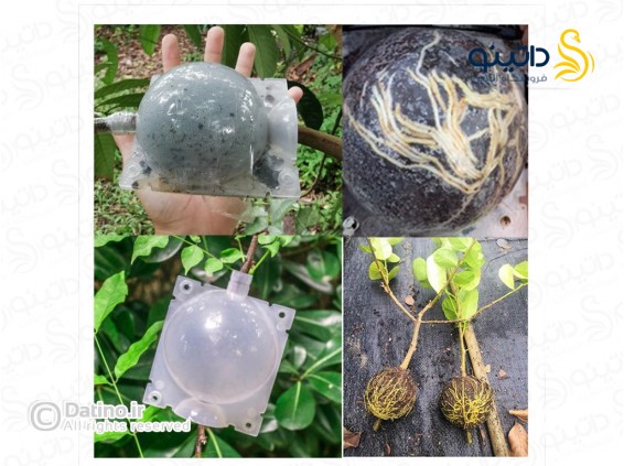 عکس جعبه توپی پیوند و ریشه زایی تکثیر گیاه 20145 - انواع مدل جعبه توپی پیوند و ریشه زایی تکثیر گیاه 20145