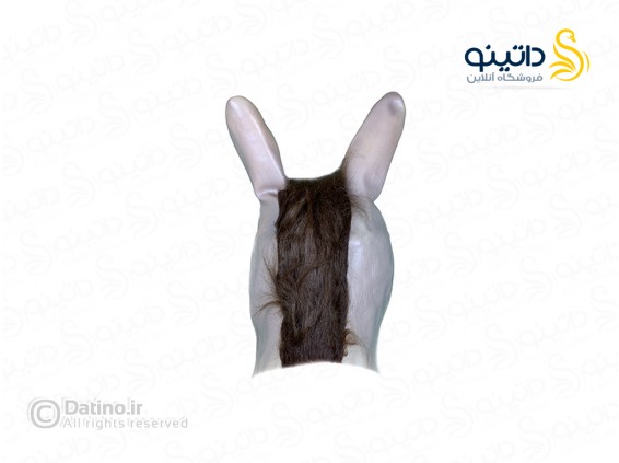 عکس ابزار شوخی طرح ماسک خر انیمییشن شرک 20146 - انواع مدل ابزار شوخی طرح ماسک خر انیمییشن شرک 20146