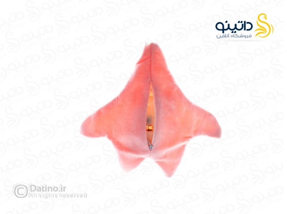 عکس عروسک مدل پاتریک عصبانی موزیکال و چراغ دار انیمیشن باب اسفنجی 20147 - انواع مدل عروسک مدل پاتریک عصبانی موزیکال و چراغ دار انیمیشن باب اسفنجی 20147