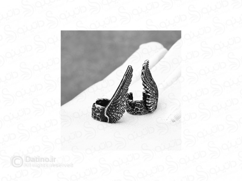 عکس گوشواره استیل طرح بال فرشته لوکس 20629 - انواع مدل گوشواره استیل طرح بال فرشته لوکس 20629