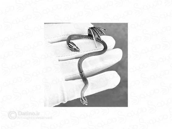 عکس گوشواره تک استیل طرح خم اژدها 20630 - انواع مدل گوشواره تک استیل طرح خم اژدها 20630