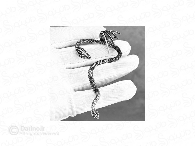 عکس گوشواره تک استیل طرح خم اژدها 20630 - انواع مدل گوشواره تک استیل طرح خم اژدها 20630