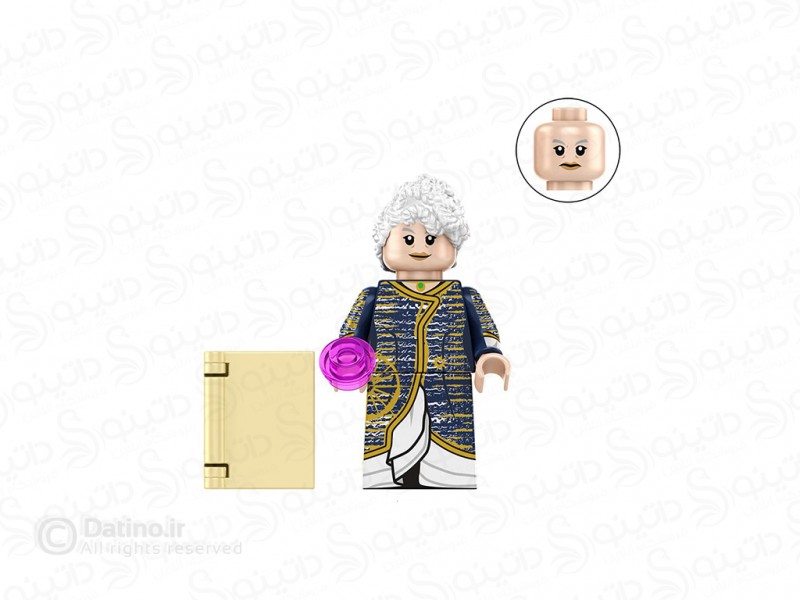 عکس مینی فیگور طرح مادام موریبل با کتاب جادو فیلم شرور TP344 - انواع مدل مینی فیگور طرح مادام موریبل با کتاب جادو فیلم شرور TP344