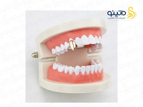 عکس روکش دندان هیپ هاپ تک دندان خون آشام 10496 - انواع مدل روکش دندان هیپ هاپ تک دندان خون آشام 10496