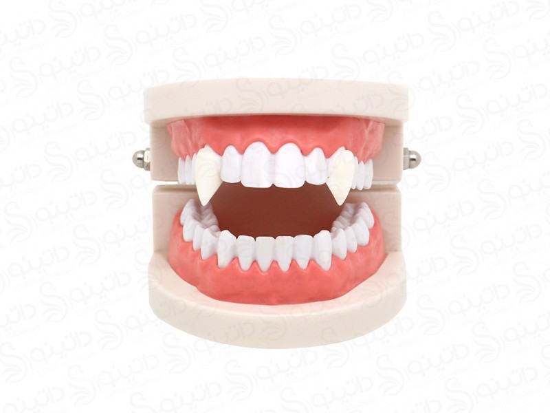 عکس دندان طرح خون آشام جفت 10497 - انواع مدل دندان طرح خون آشام جفت 10497